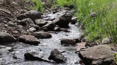 Orman dağ dere akan.