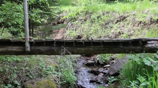 Randonneurs traversant le pont en bois sur le ruisseau de montagne coulant. 