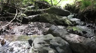 Hiking Creek. Trekking Polonyalılar ile dere geçerken