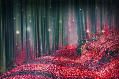 Magic fairytale forest with fireflies lights and mysterious road clipart