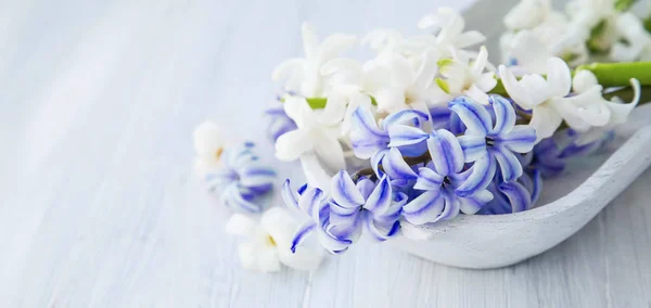 Blue and white hyacinth flowers on wooden bowl, spa composition — Stock Photo, Image