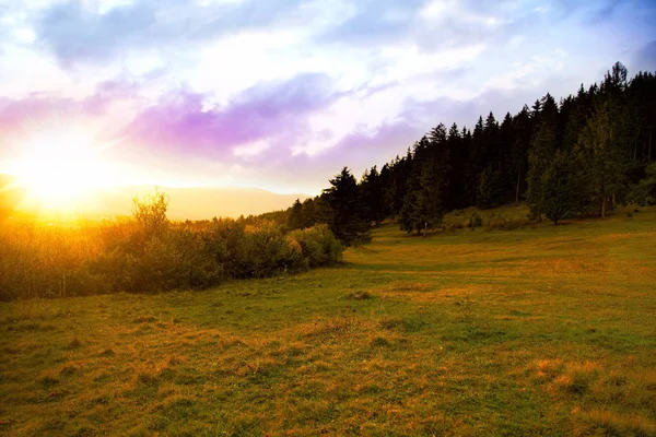 Coucher de soleil sur le paysage de prairie nature, lumière dorée chaude outsi — Photo