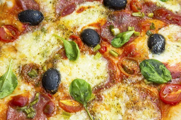 Pizza with salami, cheese, mozzarella, olives,tomatoes and spina — Stock Photo, Image