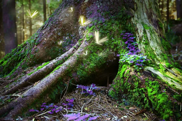 Floresta mágica com vaga-lumes — Fotografia de Stock