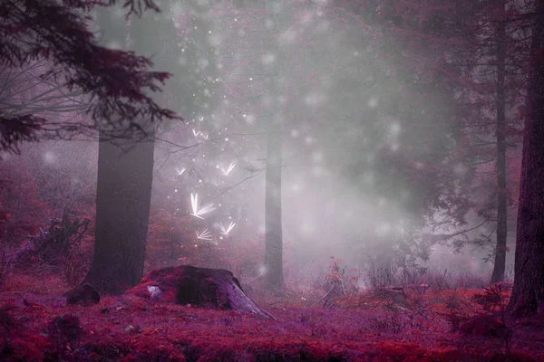 Мрійлива казка лісова сцена з чарівними світлячками, туманною сурією — стокове фото