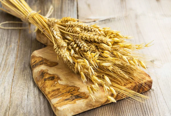 Sheaf with wheat, barley and oat ears on wooden board — Stock Photo, Image