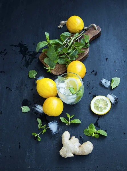 Ingredientes mojitos frescos con limón, jengibre, hierbas de menta — Foto de Stock