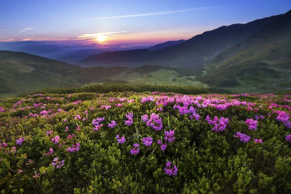 Majestueux paysage de coucher de soleil de montagne avec vue sur le ciel violet et Rhod — Photo
