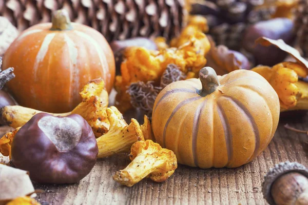 Abóboras decorativas de outono com cogumelos, castanhas em madeira b — Fotografia de Stock