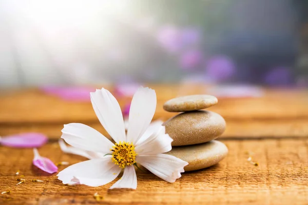 Spa kompozycja Martwa natura z masażu kamieniami i biały kwiat — Zdjęcie stockowe