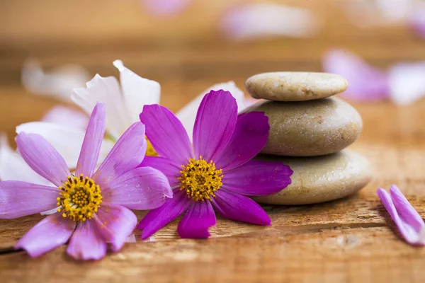 Wellness-Stillleben mit Blumen und Massagesteinen — Stockfoto