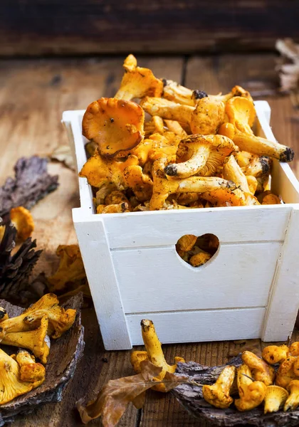 Funghi di finferli in una cassa di legno, funghi crudi commestibili — Foto Stock