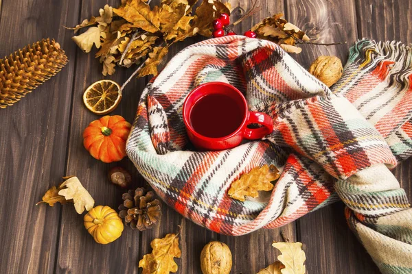 Flatlay di accogliente impostazione autunno. Sciarpa con tazza di tè e deco autunno — Foto Stock