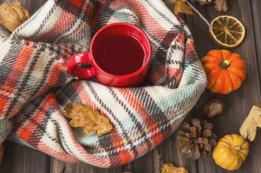 Sıcak çay bardağı ile rahat eşarp, eski ayarda duygu sonbahar woo