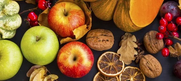 Cosecha de otoño con manzanas, calabazas, calabazas, ciruelas y castañas — Foto de Stock