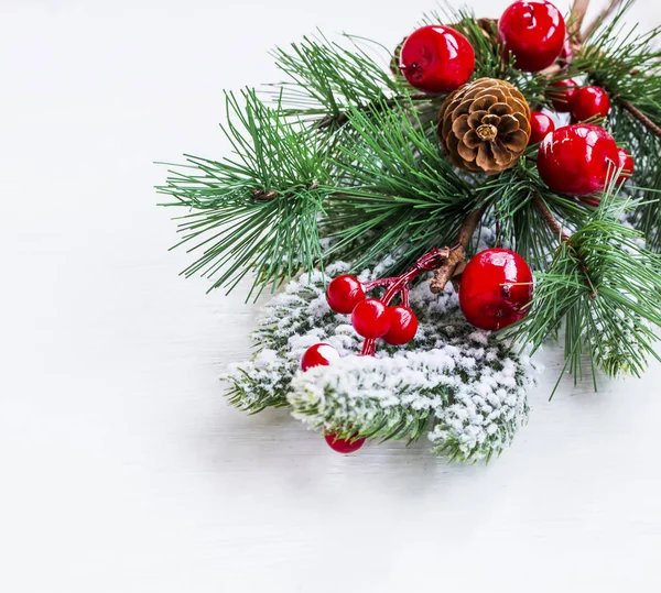 Украшение рождественской ветки ягодами и шишками на белой спине — стоковое фото