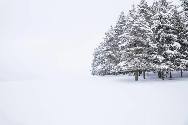 Χειμερινό τοπίο — Φωτογραφία Αρχείου