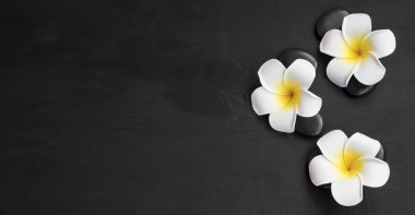 Spa frangipani ve masaj ile natürmort taş üstten görünüm, şey