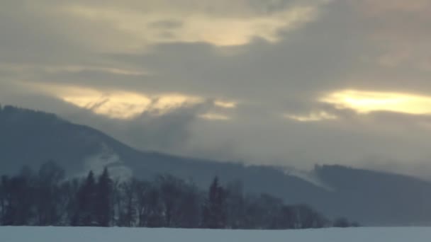 눈덮인 눈송이들이 뒤섞인 어두운 — 비디오