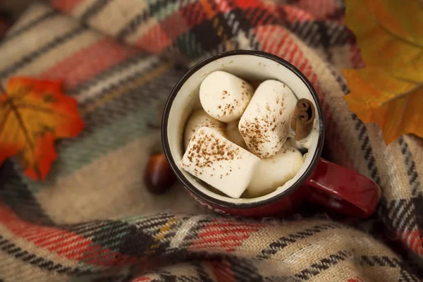 Cobertor acolhedor com xícara de chocolate quente com doces de marshmallow — Fotografia de Stock