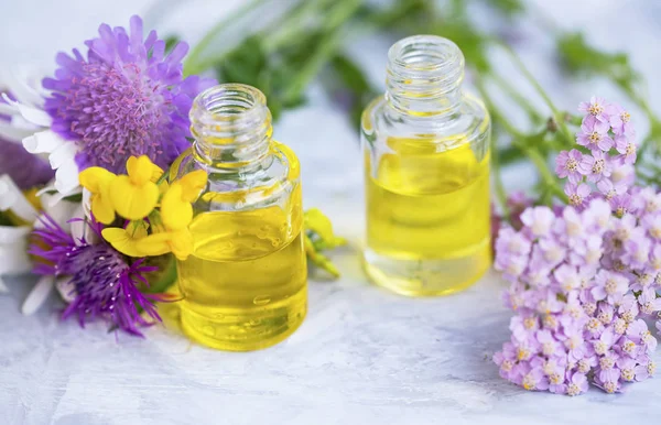 Frascos de aceite de aromaterapia con flores y hojas verdes, botánica — Foto de Stock
