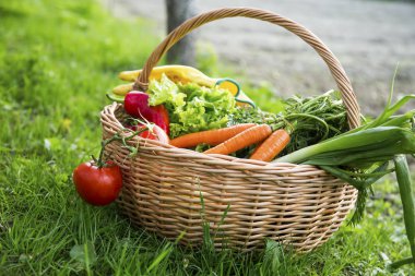 organik sebze sepeti