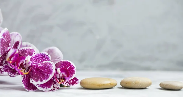 Wellness Stillleben Mit Orchideenblume Und Massagesteinen — Stockfoto