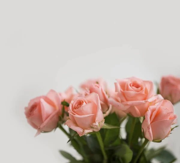 Roses Bouquet Copy Space White Background — Stock Photo, Image