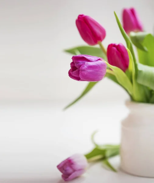 Primavera Tulipas Closeup Vaso Bonito Branco — Fotografia de Stock