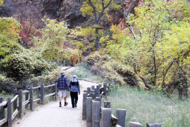 Zion park ABD