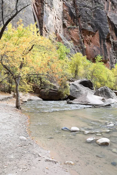 Zion park, Amerikai Egyesült Államok — Stock Fotó