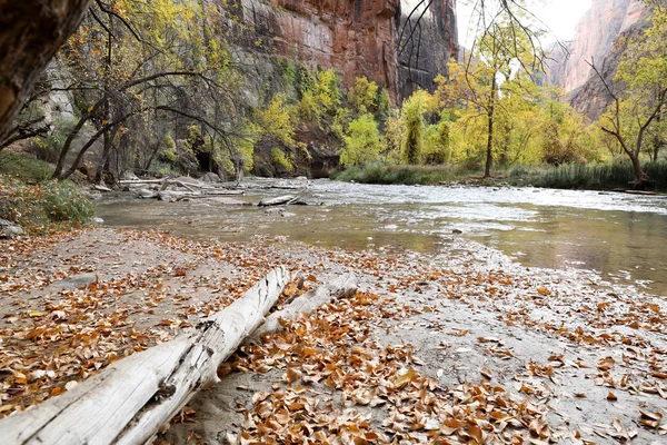 Zion park, Amerikai Egyesült Államok — Stock Fotó