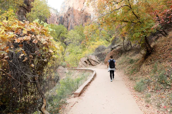 Parque Zion en Estados Unidos — Foto de Stock