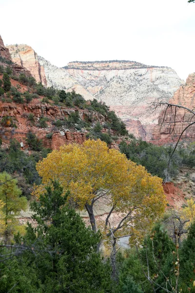 Zion park i Usa — Stockfoto