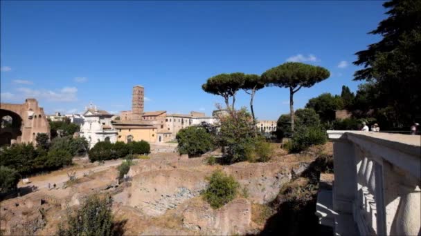 Visita Coliseu Roma Dos Parques — Vídeo de Stock