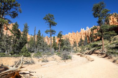 Milli Park Bryce Canyon Utah