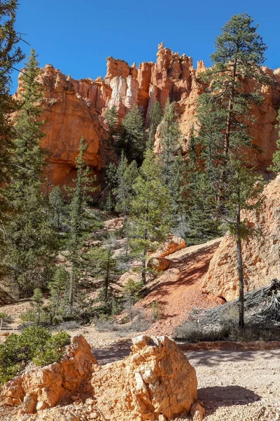 El Parque Nacional Bryce Canyon en Utah —  Fotos de Stock