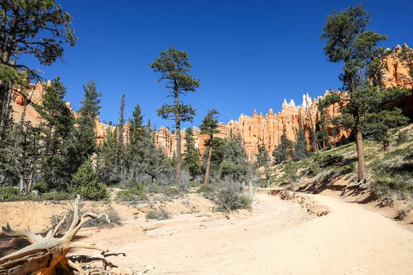 El Parque Nacional Bryce Canyon en Utah —  Fotos de Stock