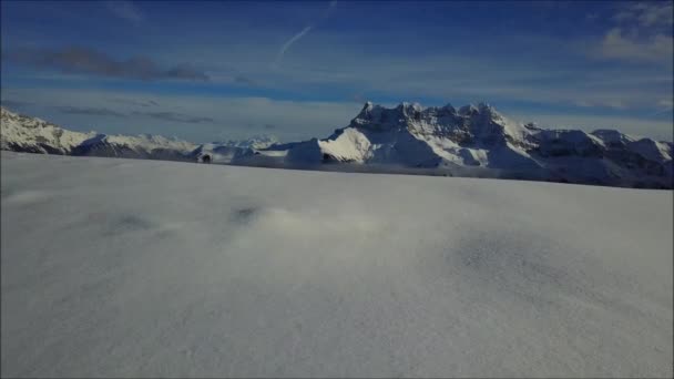 Dentes Midi — Vídeo de Stock