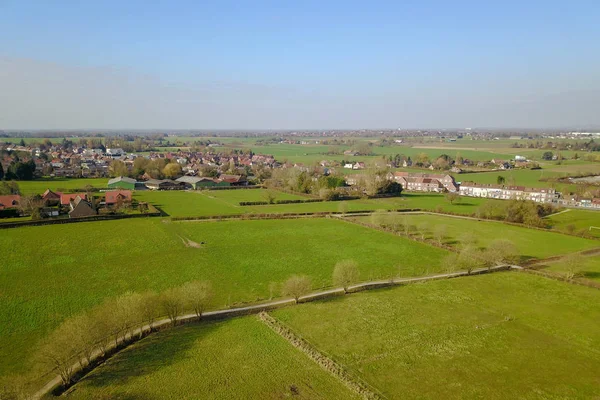 Un parco in una città Immagine Stock