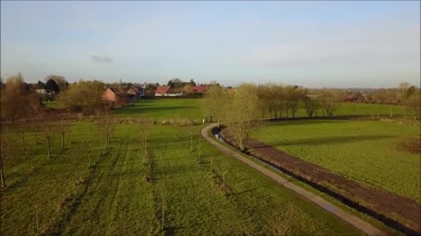 Luchtfoto Van Een Stad Een Park — Stockvideo