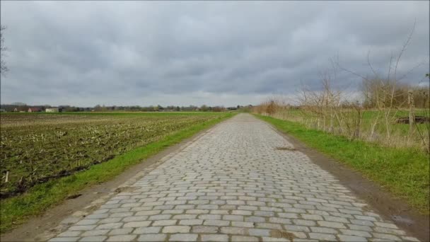 Paris Roubaix Irkının Döşeli Alan — Stok video