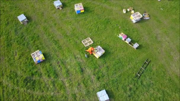 Luchtfoto Van Een Imker Rond Zijn Bijenkasten — Stockvideo