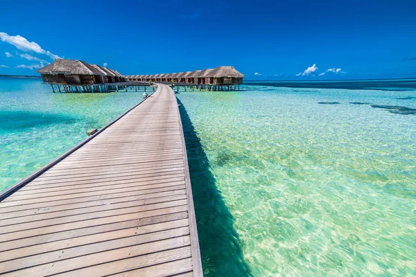 Sur des bungalows aquatiques sur une île tropicale avec des palmiers et une plage incroyable aux Maldives. Voyage d'été vacances fond . — Photo