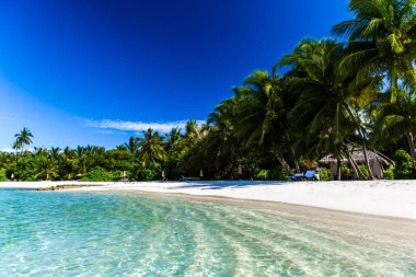 Güzel palmiye ağaçları ve tropik sahil. Moody mavi gökyüzü ve mavi lagün. Lüks seyahat etmek yaz tatil arka plan kavramı.