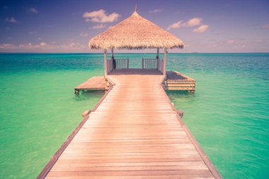 Tropik ada cennet plaj Maldivler mükemmel. Uzun iskelesi ve geleneksel tekne dhoni.