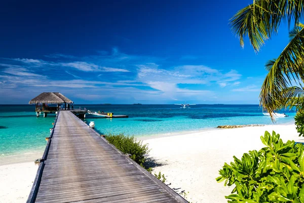 Hermosas palmeras y playa tropical. Cielo azul Moody y laguna azul. Viajes de lujo vacaciones de verano fondo concepto . — Foto de Stock