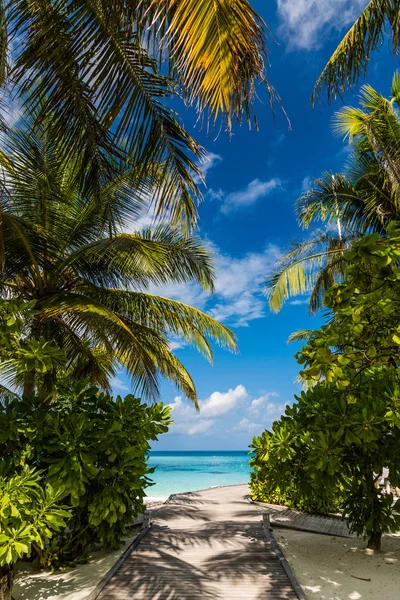 Incredibile sfondo spiaggia per i viaggi estivi con sole, palme e spiaggia con letto in legno sulla sabbia con bellissimo mare blu e cielo blu. Vacanza spiaggia sfondo concetto . — Foto Stock