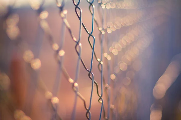 Μεταλλικά μόδας φράχτη, bokeh φόντο. Ηλιοβασίλεμα κυκλοθυμική φόντο — Φωτογραφία Αρχείου