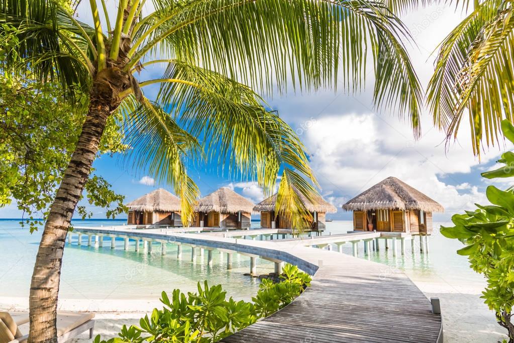 Perfect tropical island paradise beach Maldives. Long jetty and a traditional boat dhoni.